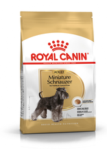 ROYAL CANIN Miniature Schnauzer - karma dla sznaucerów miniaturowych