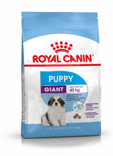 ROYAL CANIN Giant Puppy - karma dla szczeniąt ras olbrzymich w wieku 5-8mcy, 15kg