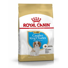 ROYAL CANIN Cavalier King Charles Puppy - karma dla szczeniąt, 1,5kg