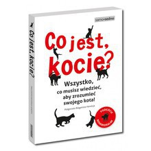 Co jest, kocie? Wszystko, co musisz wiedzieć, aby zrozumieć swojego kota