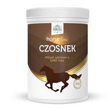 POKUSA Horse Line Czosnek - organiczny dodatek żywieniowy dla koni i kucy