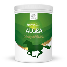 POKUSA Horse Line Algea - sproszkowana alga norweska, 1.5 kg