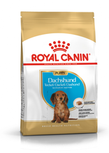 ROYAL CANIN Dachshund Puppy - karma dla szczeniąt rasy Jamnik 1,5 kg