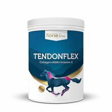 HORSELINE PRO TendonFlex - preparat dla koni borykających się z nawracającymi kontuzjami w obrębie ścięgien i więzadeł