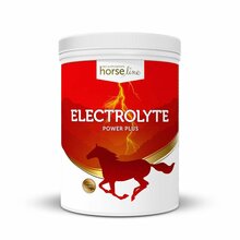 HORSELINE PRO Electrolyte - preparat dla koni wyczynowych do stosowania jako uzupełnienie diety przy bardzo intensywnym wysiłku