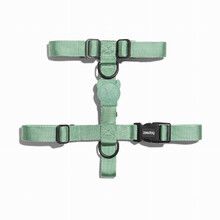 ZEE DOG H-Harness Apache dla psa