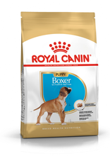 ROYAL CANIN Boxer Puppy - karma dla szczeniąt rasy Bokser, 12kg