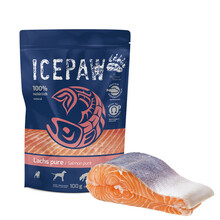 ICEPAW High Premium - mokra karma z czystego łososia 100% dla psów, 100g