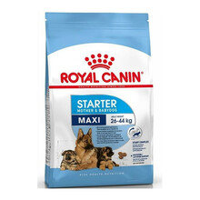 ROYAL CANIN MAXI STARTER MOTHER & BABYDOG - karma dla szczeniąt i suk w ciąży i laktacji ras dużych