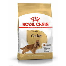 ROYAL CANIN Cocker Spaniel Adult - karma dla psów rasy Cocker Spaniel, 12kg