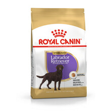 ROYAL CANIN Labrador Sterilised - karma dla psów dorosłych po sterylizacji lub kastracji, 12kg